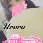 ヒメ日記 2025/05/14 08:00 投稿 うらら 奥鉄オクテツ神奈川店（デリヘル市場グループ）