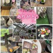 ヒメ日記 2025/06/14 23:55 投稿 うらら 奥鉄オクテツ神奈川店（デリヘル市場グループ）