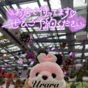 ヒメ日記 2025/06/16 21:00 投稿 うらら 奥鉄オクテツ神奈川店（デリヘル市場グループ）