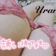 ヒメ日記 2025/06/25 12:00 投稿 うらら 奥鉄オクテツ神奈川店（デリヘル市場グループ）