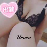 ヒメ日記 2025/07/04 12:30 投稿 うらら 奥鉄オクテツ神奈川店（デリヘル市場グループ）