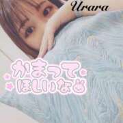 ヒメ日記 2025/08/13 08:00 投稿 うらら 奥鉄オクテツ神奈川店（デリヘル市場グループ）