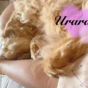 ヒメ日記 2025/08/25 08:00 投稿 うらら 奥鉄オクテツ神奈川店（デリヘル市場グループ）