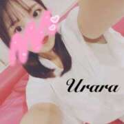 ヒメ日記 2025/09/13 08:00 投稿 うらら 奥鉄オクテツ神奈川店（デリヘル市場グループ）