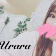 ヒメ日記 2025/10/24 18:05 投稿 うらら 奥鉄オクテツ神奈川店（デリヘル市場グループ）