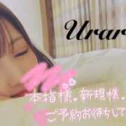 ヒメ日記 2025/11/23 08:05 投稿 うらら 奥鉄オクテツ神奈川店（デリヘル市場グループ）