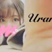 ヒメ日記 2025/11/29 15:00 投稿 うらら 奥鉄オクテツ神奈川店（デリヘル市場グループ）