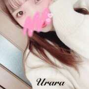 ヒメ日記 2025/12/17 13:50 投稿 うらら 奥鉄オクテツ神奈川店（デリヘル市場グループ）