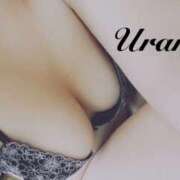 ヒメ日記 2025/12/27 22:25 投稿 うらら 奥鉄オクテツ神奈川店（デリヘル市場グループ）