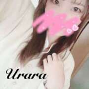 ヒメ日記 2025/12/28 16:50 投稿 うらら 奥鉄オクテツ神奈川店（デリヘル市場グループ）