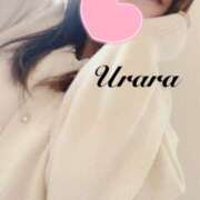 ヒメ日記 2026/02/17 12:40 投稿 うらら 奥鉄オクテツ神奈川店（デリヘル市場グループ）