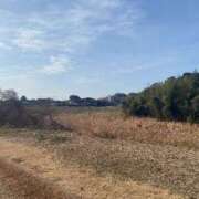 ヒメ日記 2025/01/28 10:33 投稿 みゆう イエスグループ熊本 TSUBAKI(ツバキ)