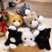 ヒメ日記 2025/08/13 16:31 投稿 みる 新橋たっち（シンデレラグループ）