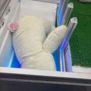 ヒメ日記 2025/11/16 13:46 投稿 める マリン宇都宮店