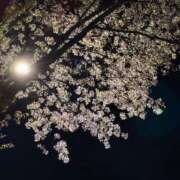 ヒメ日記 2025/04/19 14:05 投稿 ありさ ナチュラルプリンセス