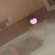 ナギ 🙇‍♂️ EN