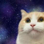 ヒメ日記 2025/12/26 10:02 投稿 あみな マリン千葉店