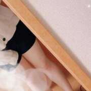 ヒメ日記 2026/03/31 16:31 投稿 たお 栃木♂風俗の神様宇都宮店