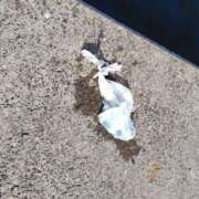 ヒメ日記 2024/12/09 19:38 投稿 絃葉(いとは) 人妻城 横浜本店