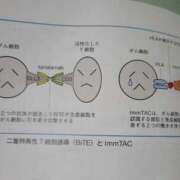 ヒメ日記 2025/03/23 20:42 投稿 絃葉(いとは) 人妻城 横浜本店