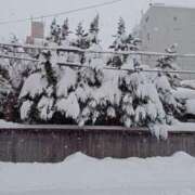 ヒメ日記 2025/05/17 10:43 投稿 絃葉(いとは) 人妻城 横浜本店