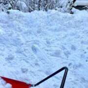 ヒメ日記 2025/11/19 08:20 投稿 絃葉(いとは) 人妻城 横浜本店