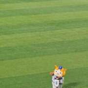 絃葉(いとは) いつも目が死んでいる 人妻城 横浜本店