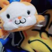 ヒメ日記 2026/04/08 22:51 投稿 絃葉(いとは) 人妻城 横浜本店