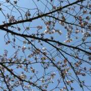 ヒメ日記 2026/04/17 21:52 投稿 絃葉(いとは) 人妻城 横浜本店