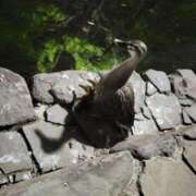 ヒメ日記 2026/04/19 20:25 投稿 絃葉(いとは) 人妻城 横浜本店