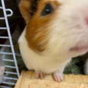 ヒメ日記 2026/04/20 16:26 投稿 絃葉(いとは) 人妻城 横浜本店