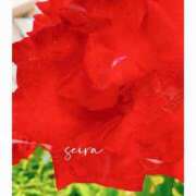 ヒメ日記 2025/05/15 17:50 投稿 せいら【激エロすぎる美女♡】 Beppin house