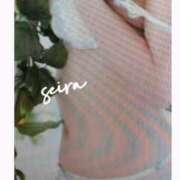 ヒメ日記 2025/06/13 06:30 投稿 せいら【激エロすぎる美女♡】 Beppin house