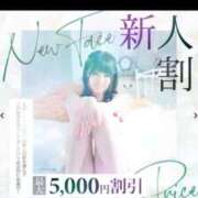 ヒメ日記 2026/02/17 18:10 投稿 せいら【激エロすぎる美女♡】 Beppin house