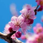 ヒメ日記 2026/03/08 15:57 投稿 みおな 人妻倶楽部 内緒の関係 大宮店