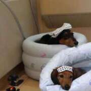 ヒメ日記 2025/07/16 10:36 投稿 ゆりな 奥様電車