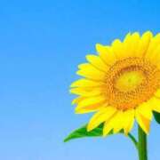 ヒメ日記 2025/07/23 09:42 投稿 ゆりな 奥様電車