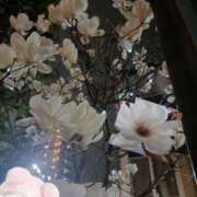 ヒメ日記 2026/03/20 14:55 投稿 みおな 人妻倶楽部内緒の関係 春日部店