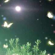 ヒメ日記 2025/12/07 23:41 投稿 ゆうこ パンドラ(上野)