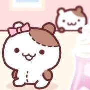 ヒメ日記 2026/02/20 12:20 投稿 ふう【清楚・パ〇パン】 ソープランド看護学院ディエックス