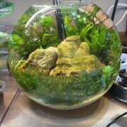 ヒメ日記 2025/09/25 00:39 投稿 ほのか sweet kiss