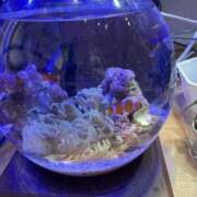 ヒメ日記 2025/09/26 02:19 投稿 ほのか sweet kiss