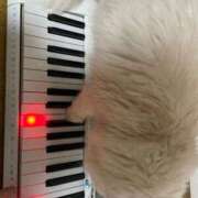 ヒメ日記 2025/11/13 19:04 投稿 ほのか sweet kiss