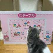 ヒメ日記 2025/11/26 22:39 投稿 ほのか sweet kiss