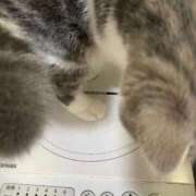 ヒメ日記 2025/11/28 01:19 投稿 ほのか sweet kiss