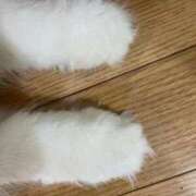 ほのか 出勤予定日 sweet kiss