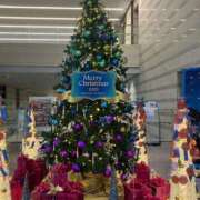 ヒメ日記 2025/11/12 11:05 投稿 らむ 横浜モンデミーテ（シンデレラグループ）