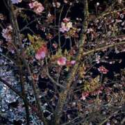 らむ おはようございます 横浜モンデミーテ（シンデレラグループ）