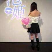 ノン ヌルヌル求めて バニーコレクション新潟店