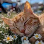 ヒメ日記 2025/08/18 09:22 投稿 ゆの Hip's-group越谷本店